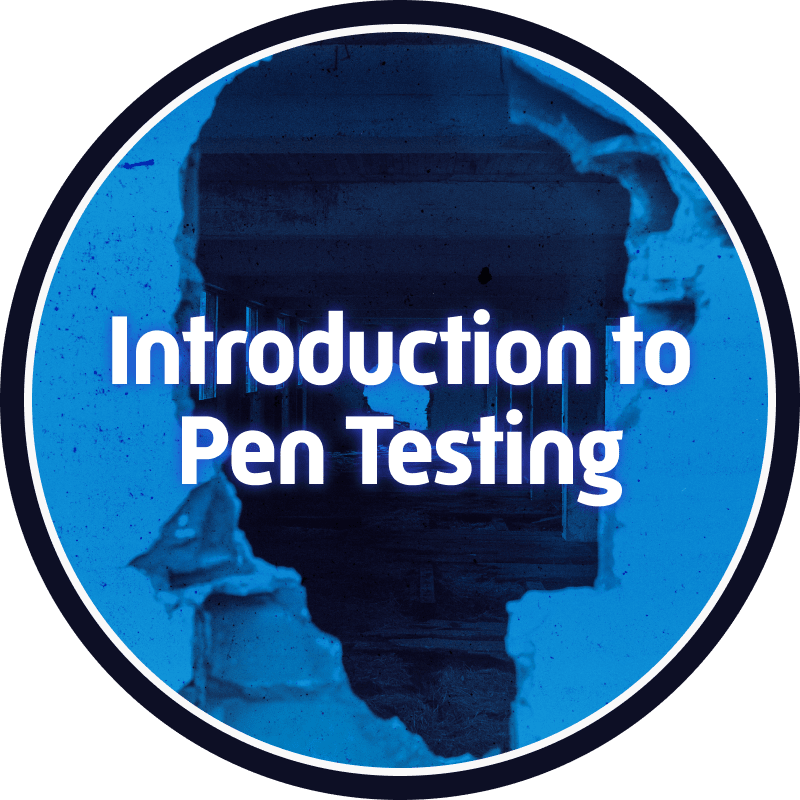Introduction to Penetration Testing badge